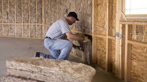 Eco-Friendly or Green Insulation Solutions in Jesup, IA